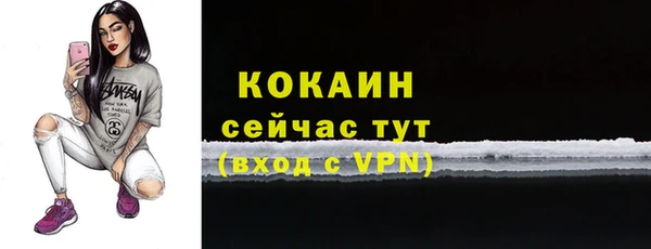 эйфоретик Ельня