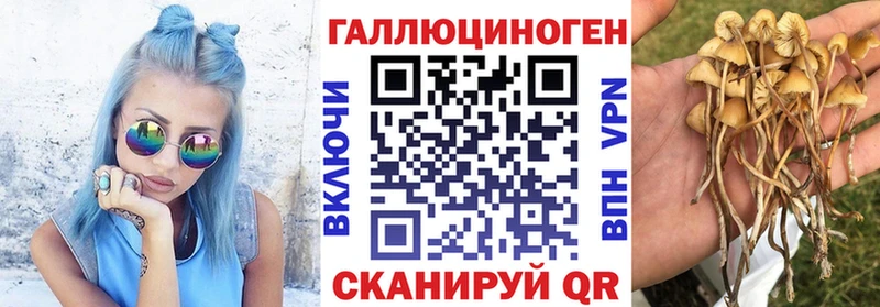 Псилоцибиновые грибы прущие грибы  Таштагол 